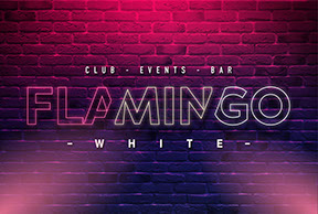 Design Schaefer Werbeagentur Medienagentur Marketing Agentur